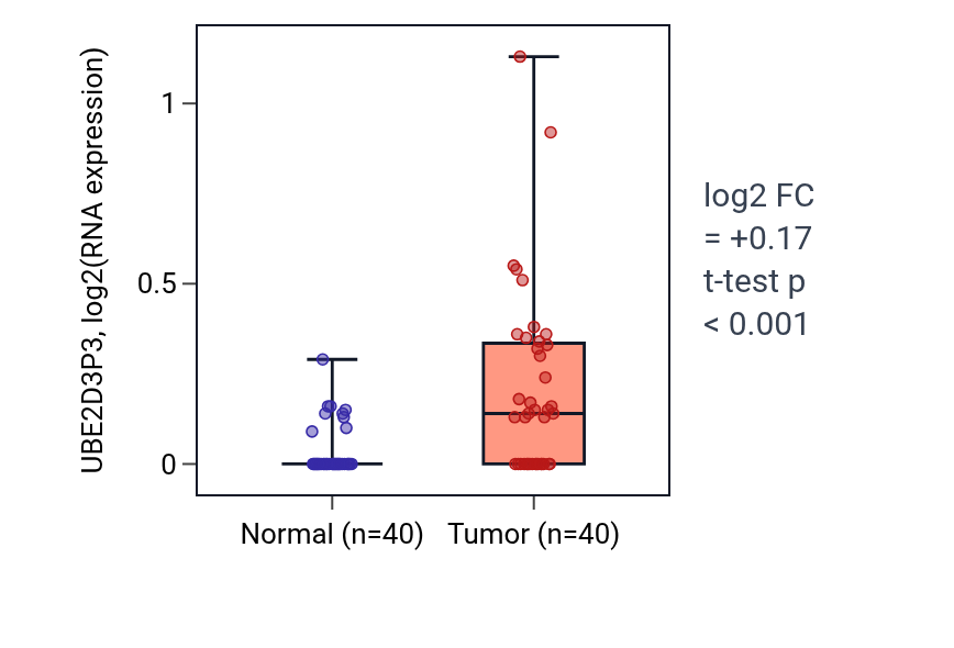 Tumor-vs-normal expression box plot for UBE2D3P3 in HNSC.