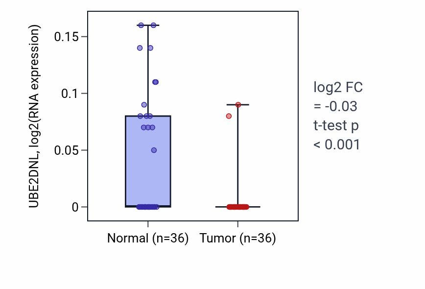 Tumor-vs-normal expression box plot for UBE2DNL RNA in KIRC.