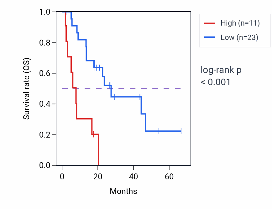 Kaplan&ndash;Meier survival curve for UBE2E2-AS1 RNA expression in BLCA: high vs low expression groups.