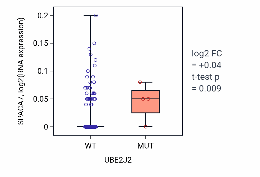 Box plot of SPACA7 in UBE2J2-low vs UBE2J2-high samples in CESC.