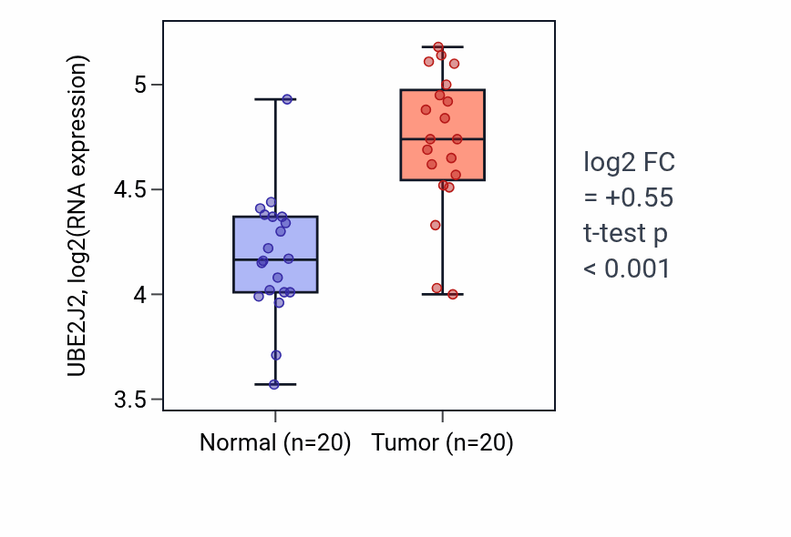Tumor-vs-normal expression box plot for UBE2J2 RNA in KIRC.