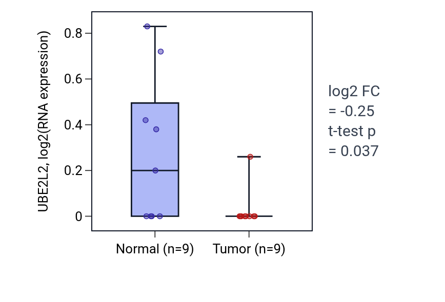 Tumor-vs-normal expression box plot for UBE2L2 in UCEC.