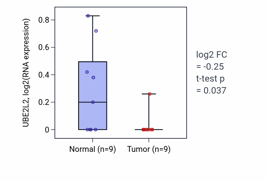 Tumor-vs-normal expression box plot for UBE2L2 RNA in UCEC.