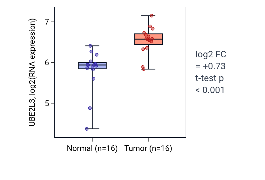 Tumor-vs-normal expression box plot for UBE2L3 in HNSC.