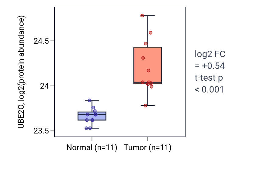 Tumor-vs-normal mass-spec protein box plot for UBE2O in CCRCC.