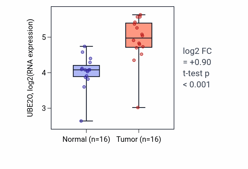 Tumor-vs-normal expression box plot for UBE2O RNA in HNSC.