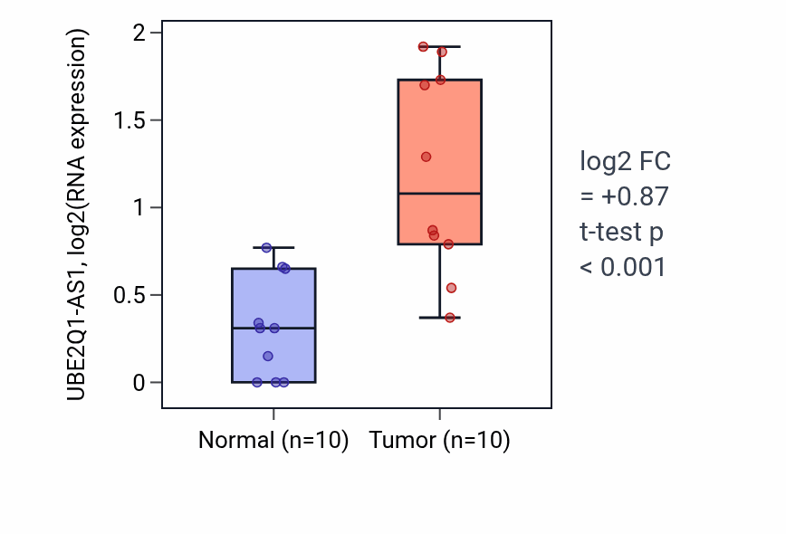 Tumor-vs-normal expression box plot for UBE2Q1-AS1 in BLCA.