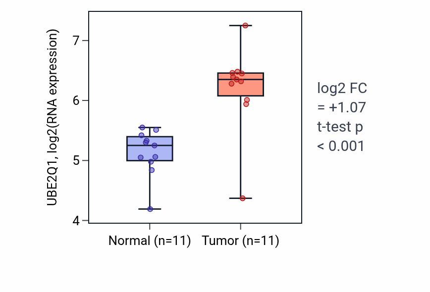 Tumor-vs-normal expression box plot for UBE2Q1 RNA in HNSC.