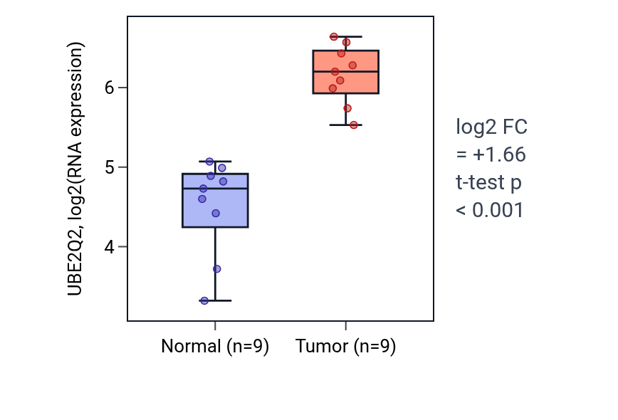 Tumor-vs-normal expression box plot for UBE2Q2 in HNSC.