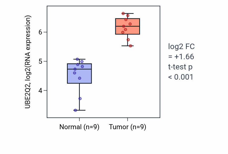 Tumor-vs-normal expression box plot for UBE2Q2 RNA in HNSC.