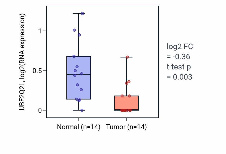 Tumor-vs-normal expression box plot for UBE2Q2L in BLCA.