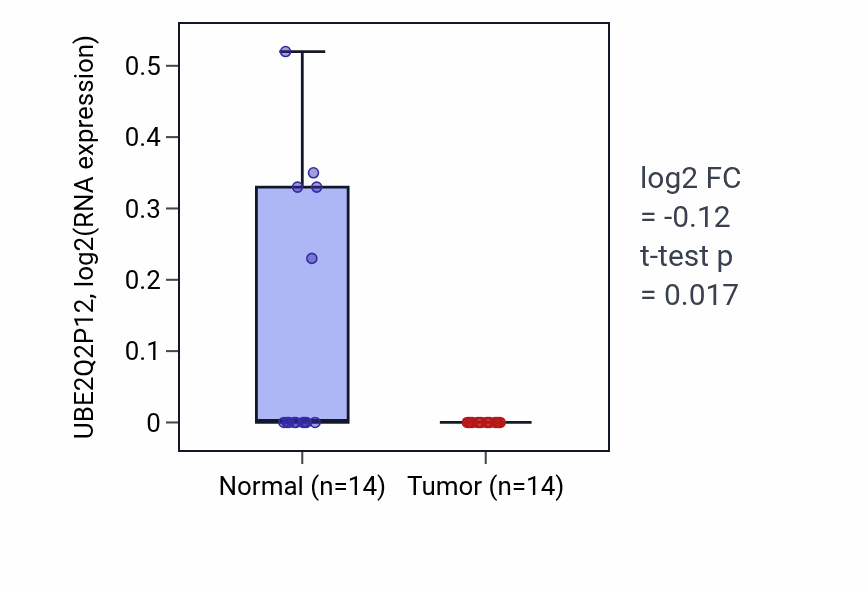 Tumor-vs-normal expression box plot for UBE2Q2P12 in LUSC.