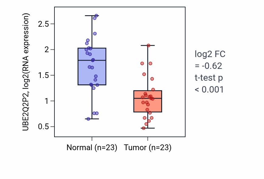 Tumor-vs-normal expression box plot for UBE2Q2P2 in THCA.