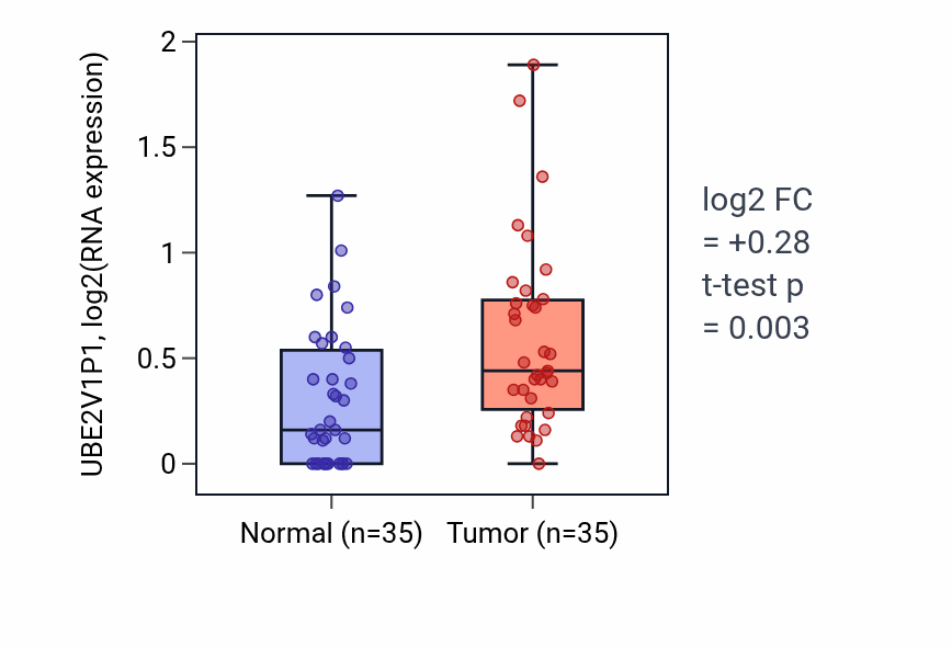 Tumor-vs-normal expression box plot for UBE2V1P1 in LUSC.