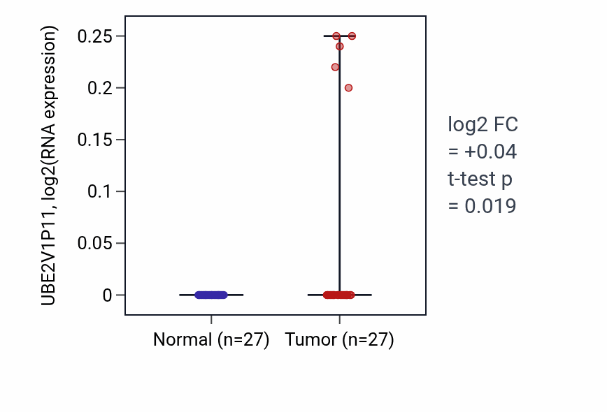 Tumor-vs-normal expression box plot for UBE2V1P11 in HNSC.