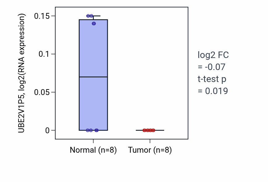 Tumor-vs-normal expression box plot for UBE2V1P5 in KICH.