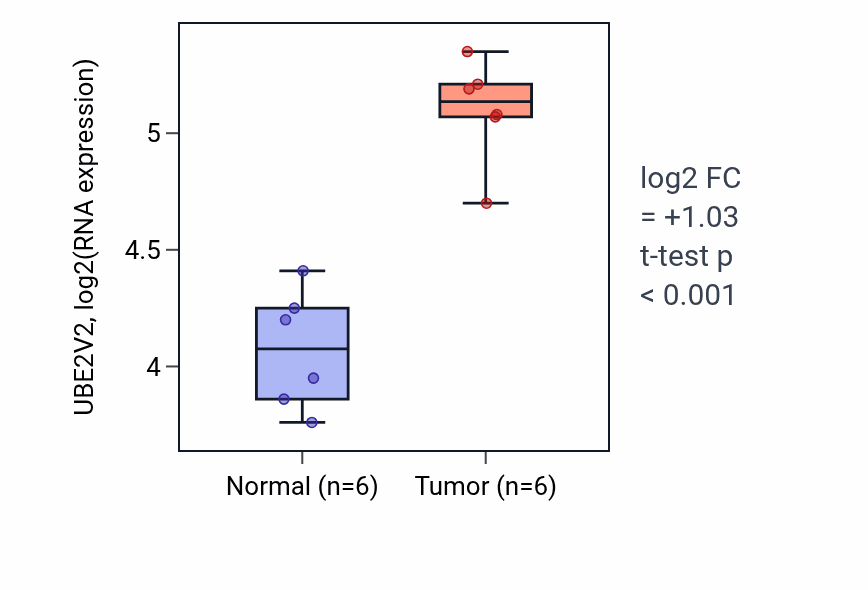 Tumor-vs-normal expression box plot for UBE2V2 RNA in HNSC.