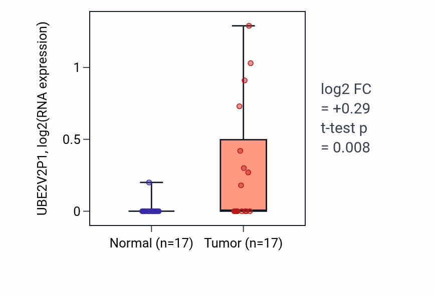 Tumor-vs-normal expression box plot for UBE2V2P1 in COAD.