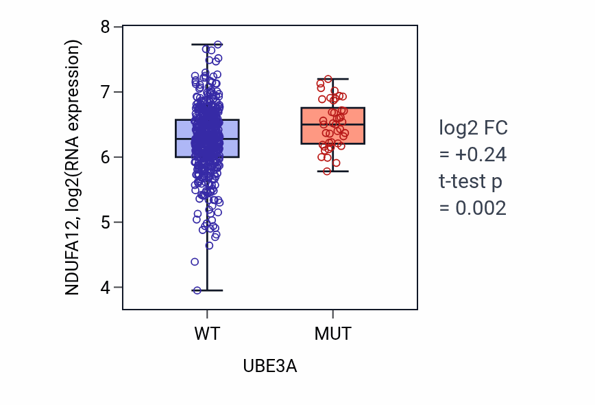 Box plot of NDUFA12 in UBE3A-low vs UBE3A-high samples in UCEC.