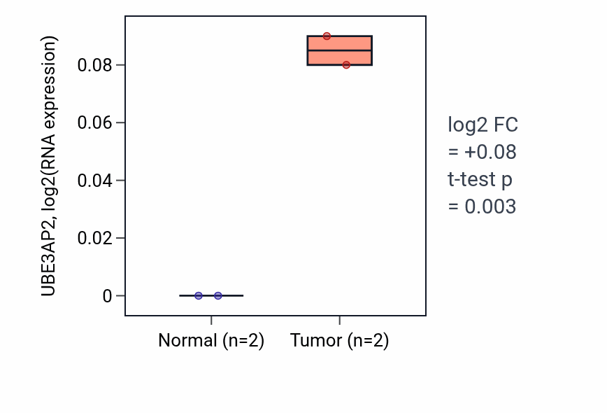 Tumor-vs-normal expression box plot for UBE3AP2 in COAD.