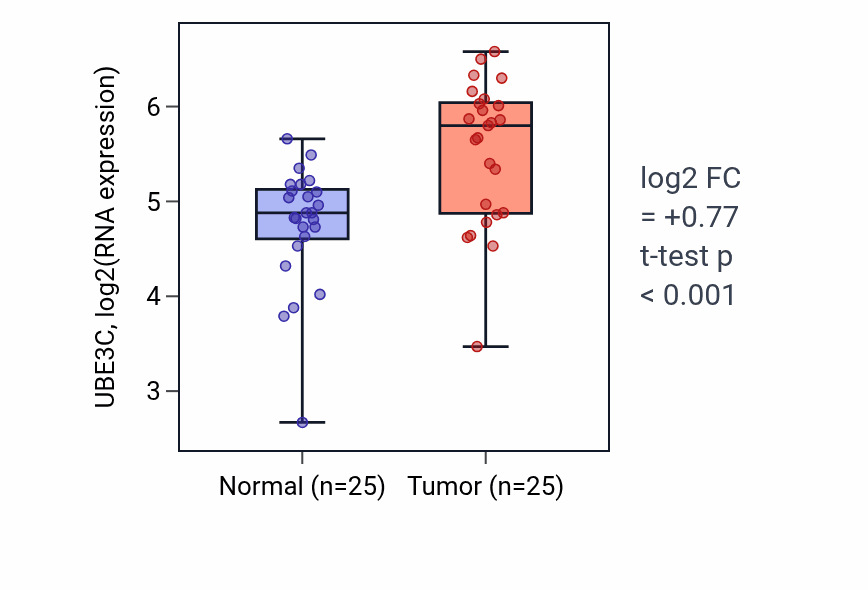Tumor-vs-normal expression box plot for UBE3C RNA in HNSC.