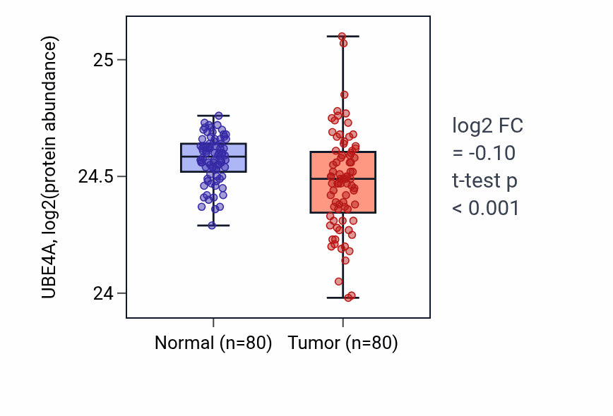Tumor-vs-normal mass-spec protein box plot for UBE4A in CCRCC.