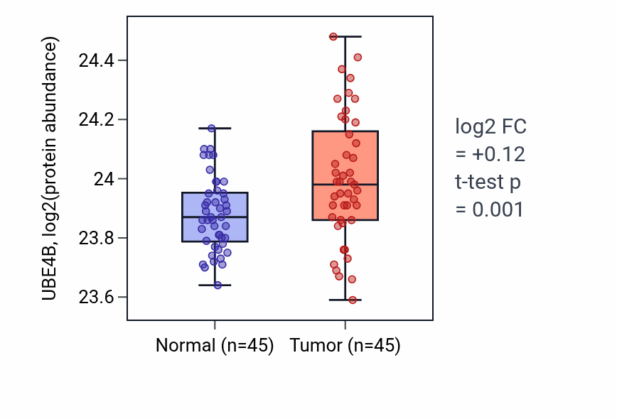 Tumor-vs-normal mass-spec protein box plot for UBE4B in HNSC.