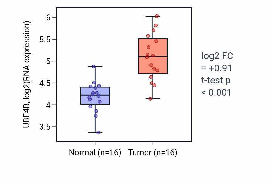 Tumor-vs-normal expression box plot for UBE4B RNA in LUSC.