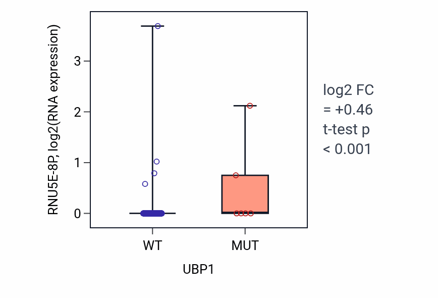 Box plot of RNU5E-8P in UBP1-low vs UBP1-high samples in COAD.