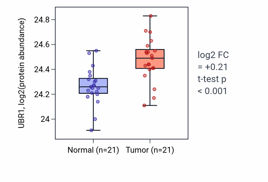 Tumor-vs-normal mass-spec protein box plot for UBR1 in HNSC.