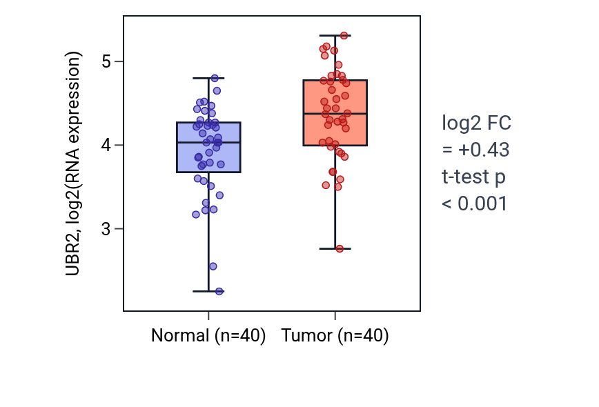 Tumor-vs-normal expression box plot for UBR2 in HNSC.