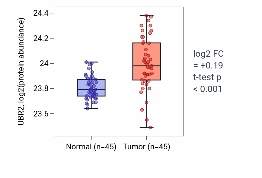 Tumor-vs-normal mass-spec protein box plot for UBR2 in HNSC.