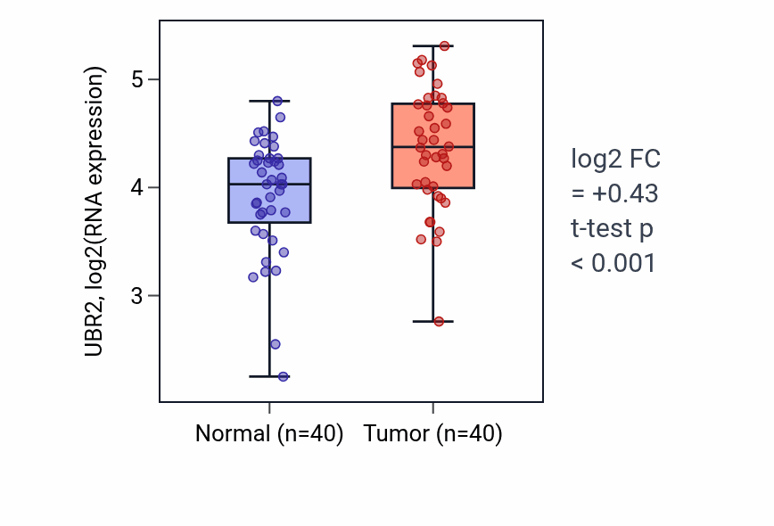 Tumor-vs-normal expression box plot for UBR2 RNA in HNSC.