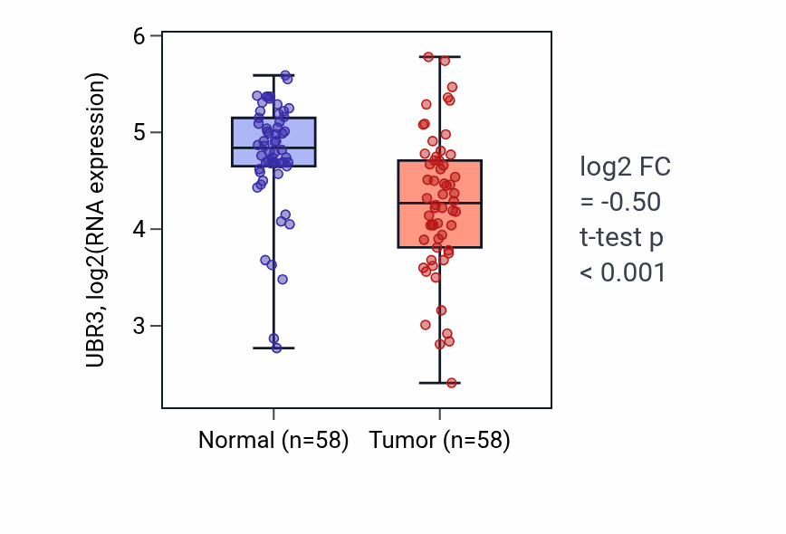 Tumor-vs-normal expression box plot for UBR3 RNA in THCA.