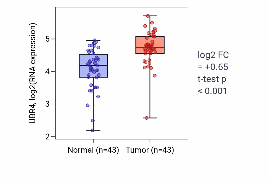Tumor-vs-normal expression box plot for UBR4 RNA in HNSC.