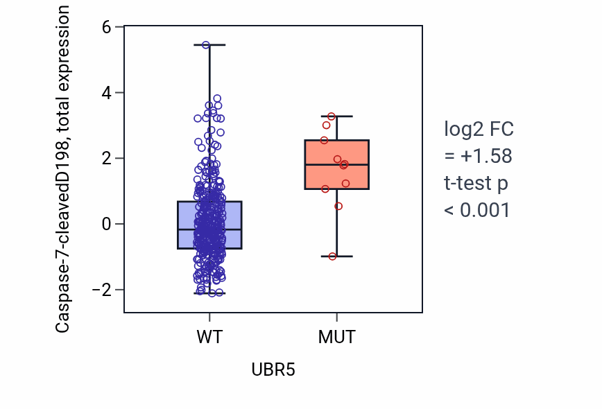 Box plot of Caspase-7-cleavedD198 in UBR5-low vs UBR5-high samples in COAD.