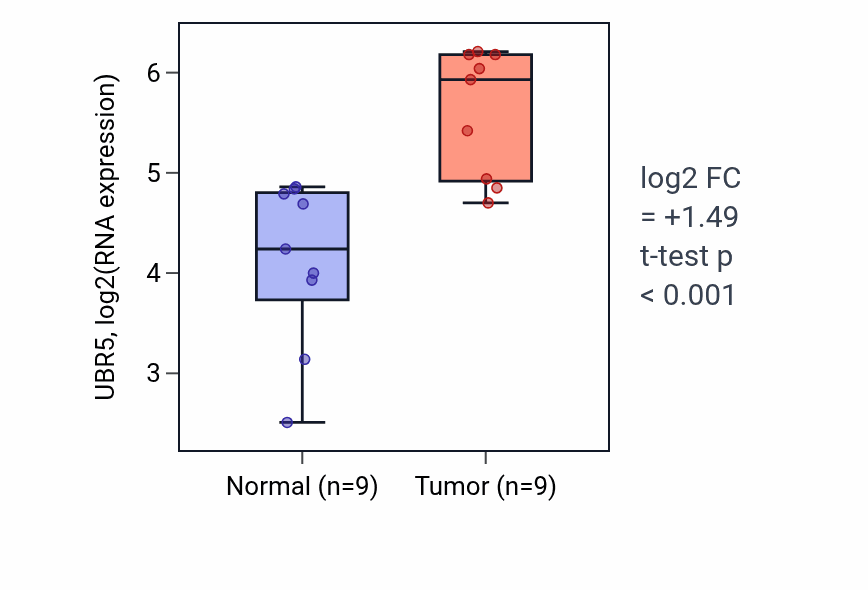 Tumor-vs-normal expression box plot for UBR5 RNA in HNSC.