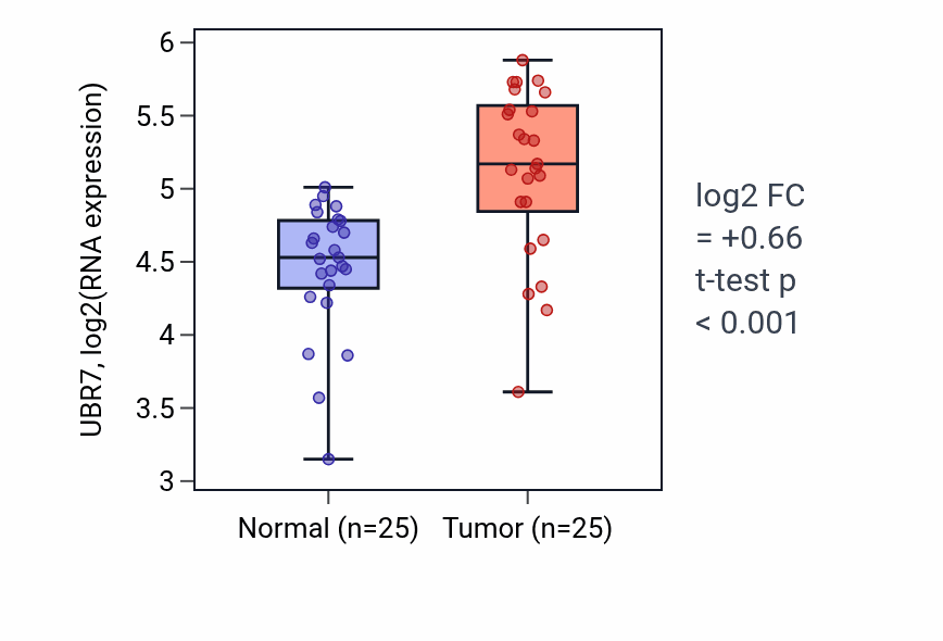 Tumor-vs-normal expression box plot for UBR7 RNA in HNSC.