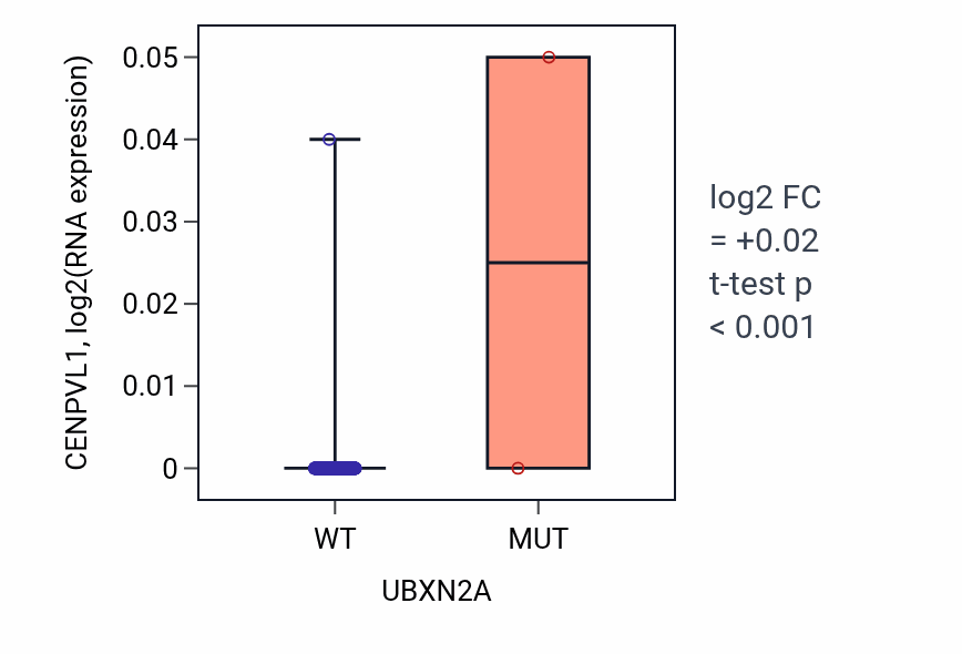 Box plot of CENPVL1 in UBXN2A-low vs UBXN2A-high samples in HNSC.