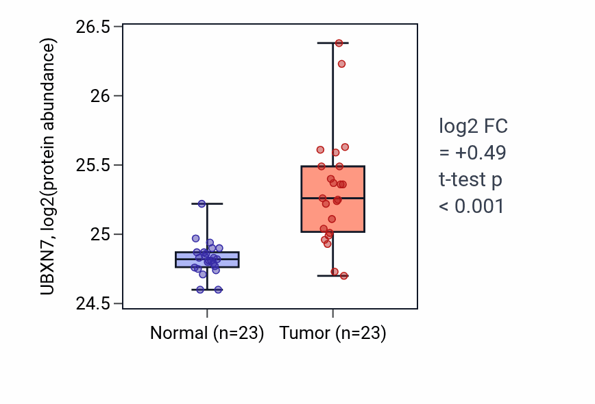 Tumor-vs-normal mass-spec protein box plot for UBXN7 in HNSC.