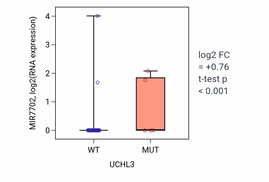 Box plot of MIR7702 in UCHL3-low vs UCHL3-high samples in UCEC.