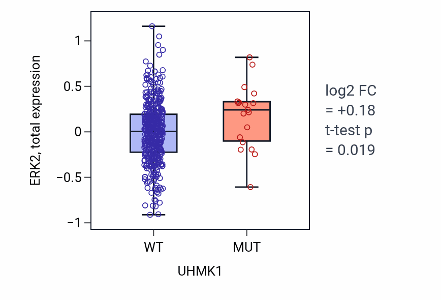 Box plot of ERK2 in UHMK1-low vs UHMK1-high samples in UCEC.