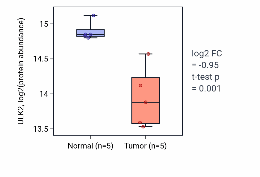 Tumor-vs-normal mass-spec protein box plot for ULK2 in LSCC.