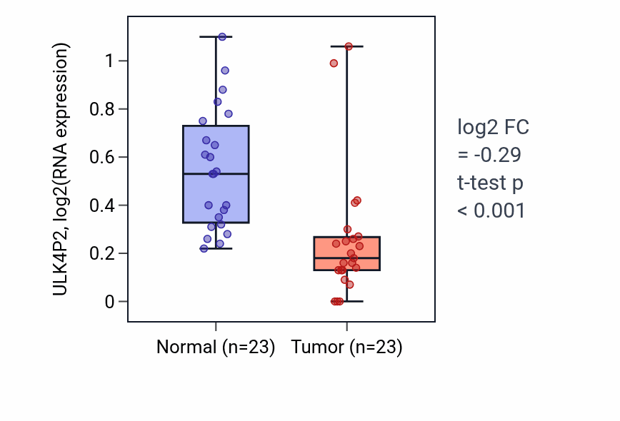 Tumor-vs-normal expression box plot for ULK4P2 in THCA.