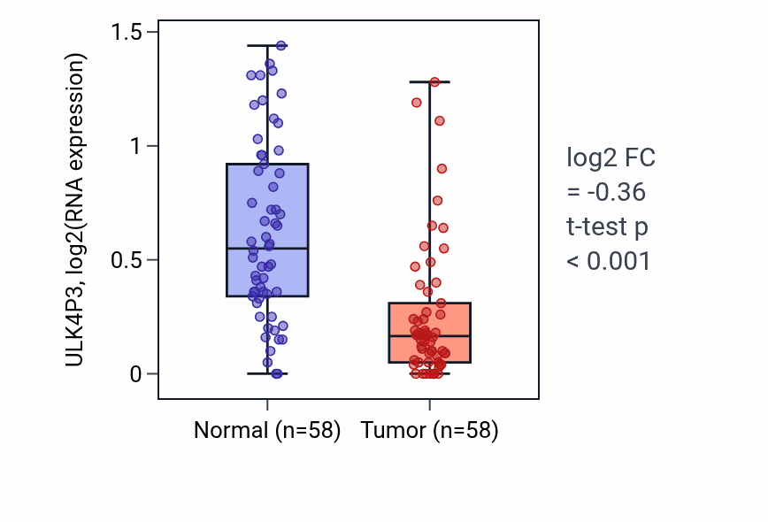 Tumor-vs-normal expression box plot for ULK4P3 in THCA.