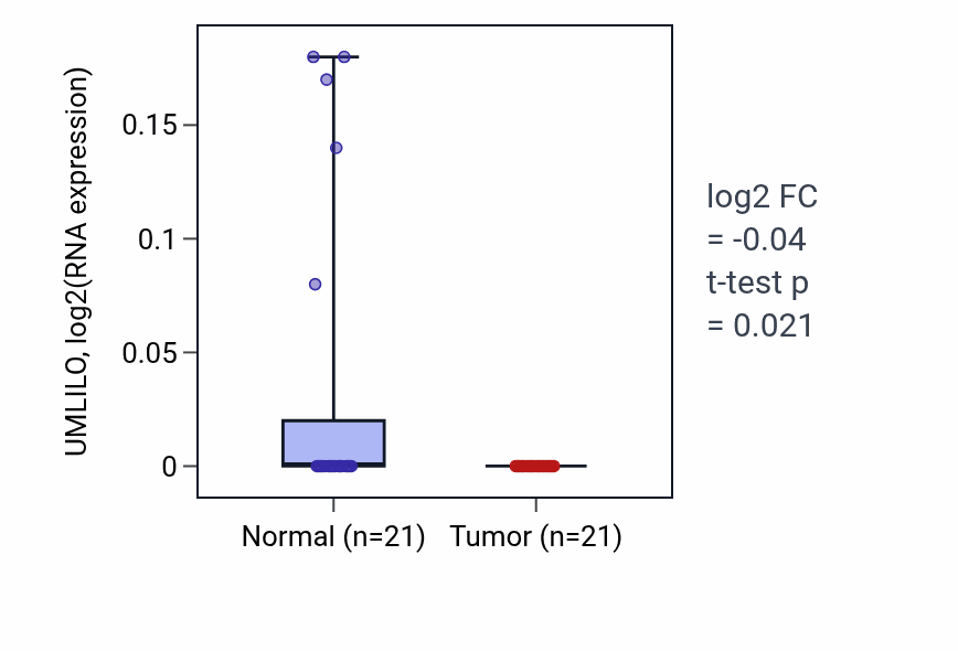 Tumor-vs-normal expression box plot for UMLILO in KIRP.