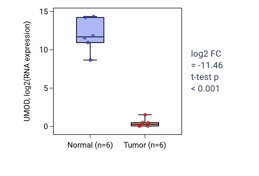 Tumor-vs-normal expression box plot for UMOD RNA in KIRC.