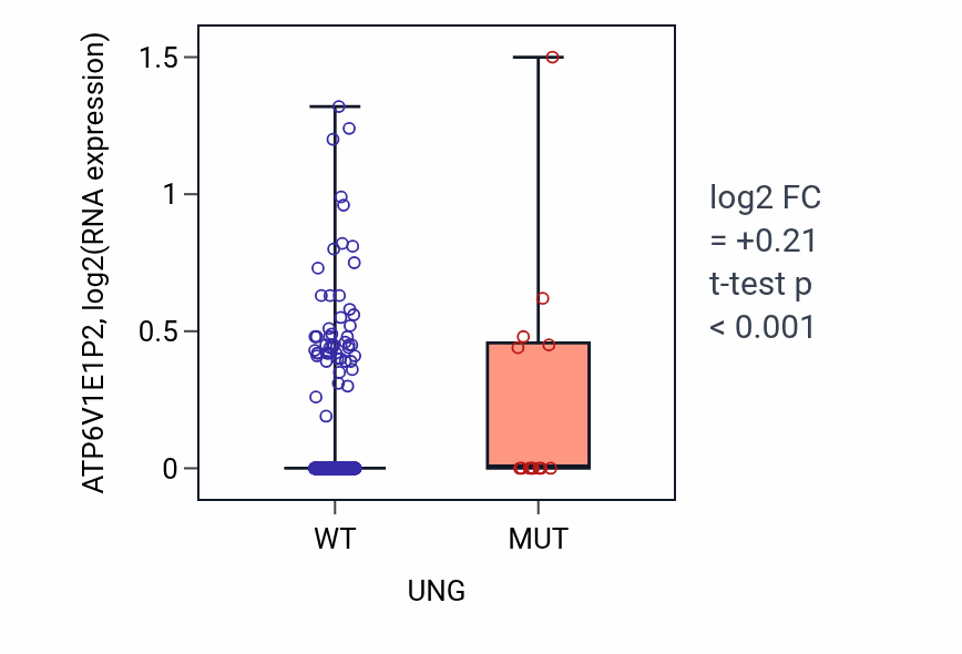 Box plot of ATP6V1E1P2 in UNG-low vs UNG-high samples in UCEC.