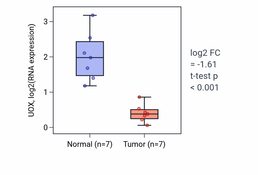 Tumor-vs-normal expression box plot for UOX in THCA.