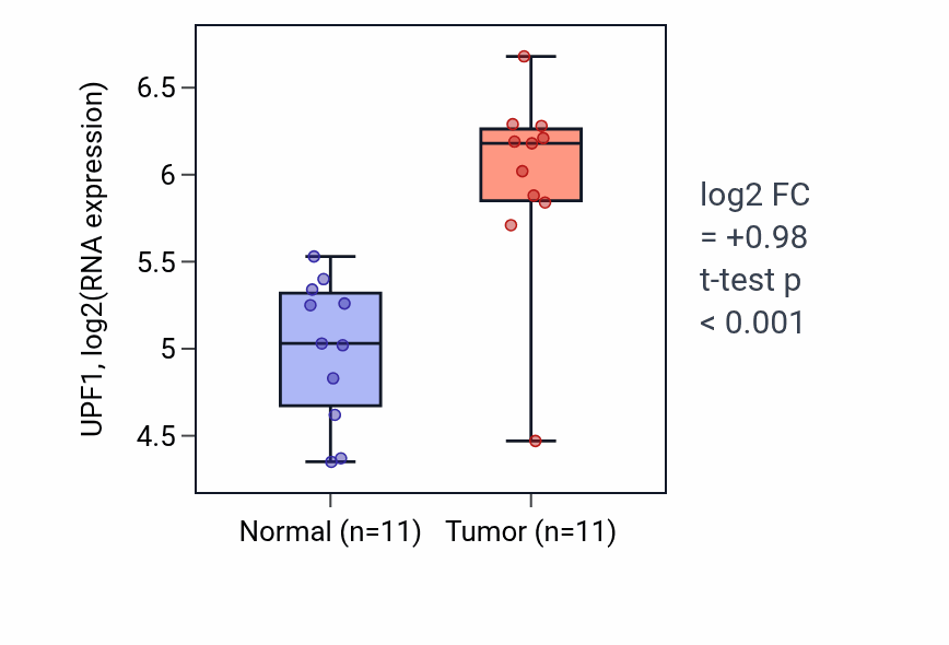 Tumor-vs-normal expression box plot for UPF1 RNA in HNSC.